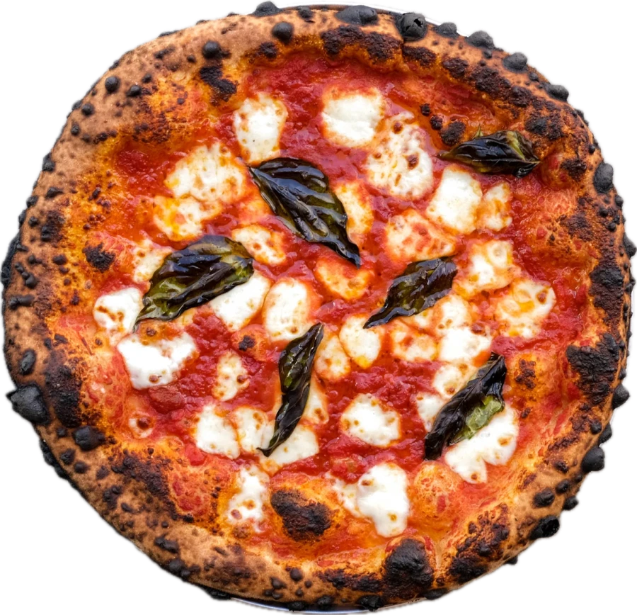 A favorite margherita pizza